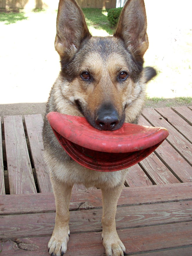 Frisbee Lips