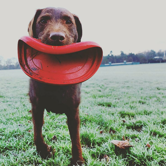 Frisbee Lips
