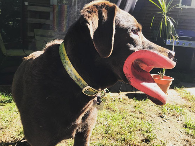 Frisbee Lips