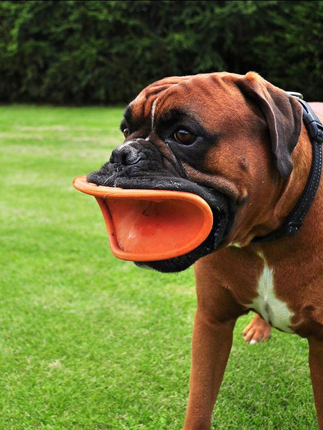 Frisbee Lips