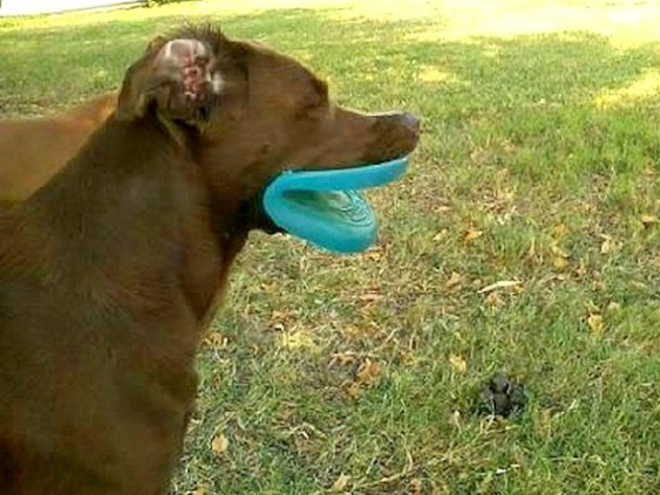 Frisbee Lips