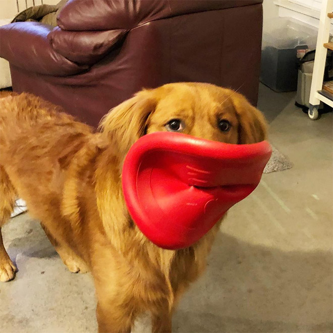 Frisbee Lips