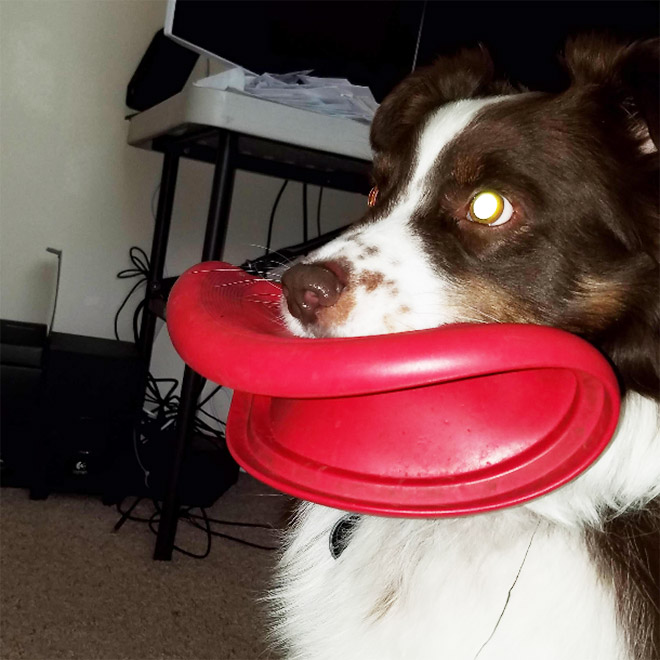 Frisbee Lips