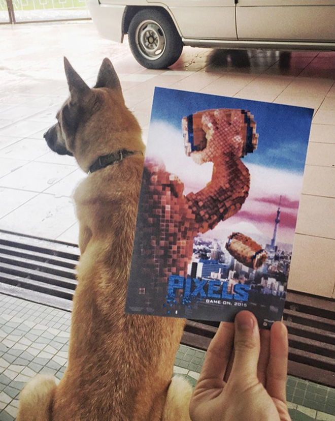 Funny Mashups of Reality And Movie Posters