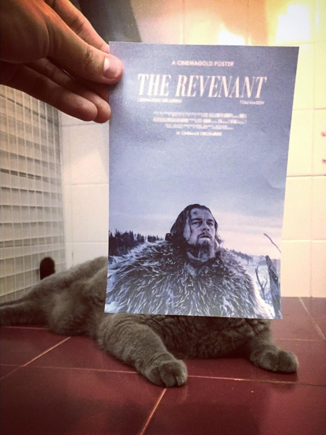 Funny Mashups of Reality And Movie Posters