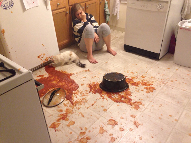 Funny Photos That Prove Cats Are The Biggest Jerks