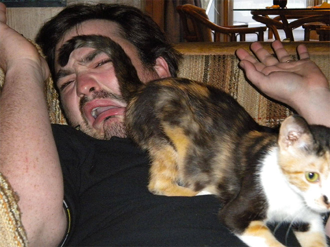 Funny Photos That Prove Cats Are The Biggest Jerks