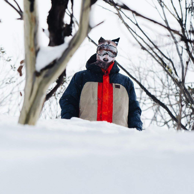 Funny Ultra-Realistic Animal Face Ski Masks