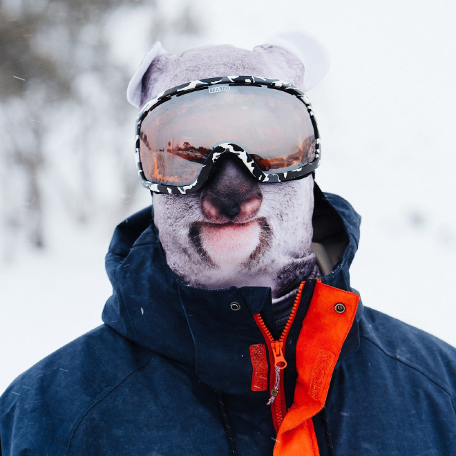 Funny Ultra-Realistic Animal Face Ski Masks