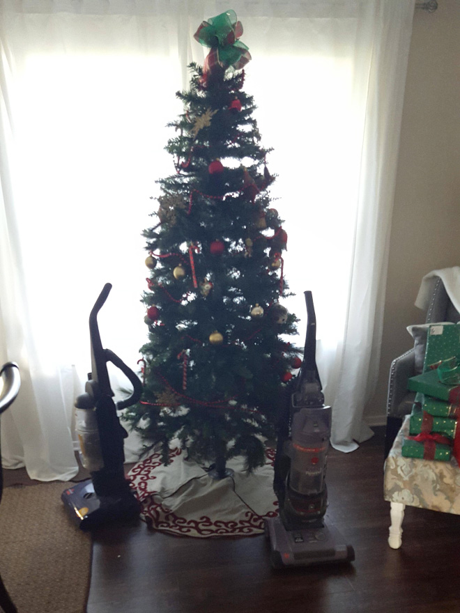 Genius People Who Found a Way To Protect Their Christmas Trees From Pets