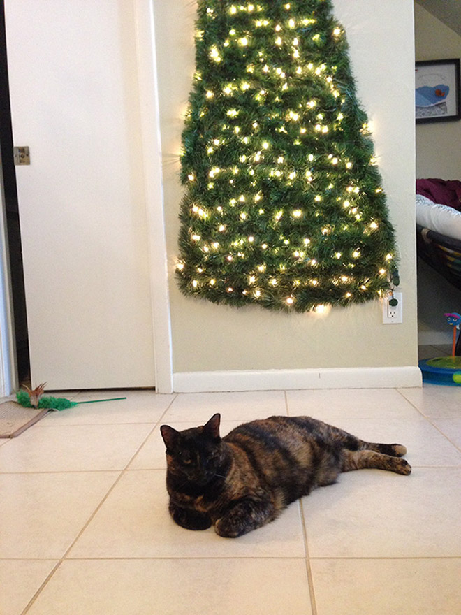 Genius People Who Found a Way To Protect Their Christmas Trees From Pets