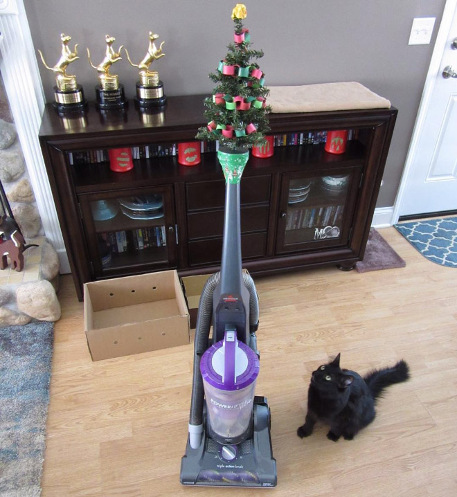 Genius People Who Found a Way To Protect Their Christmas Trees From Pets