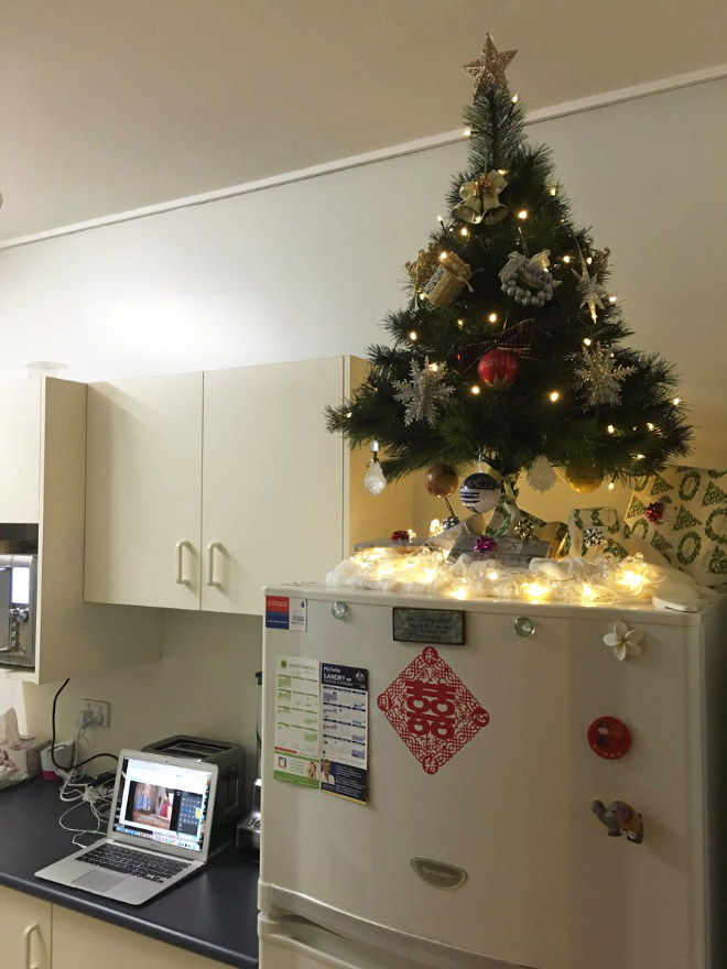Genius People Who Found a Way To Protect Their Christmas Trees From Pets