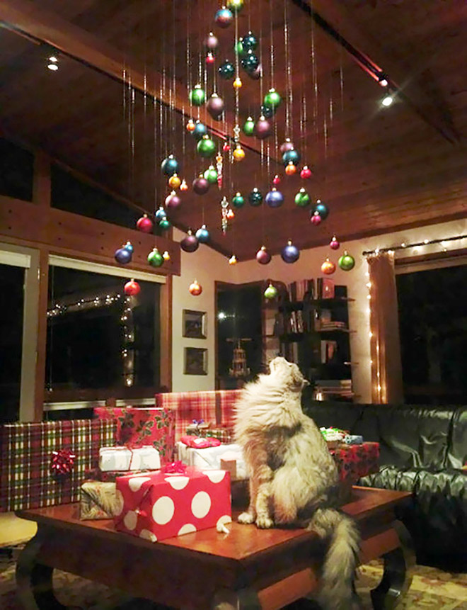 Genius People Who Found a Way To Protect Their Christmas Trees From Pets