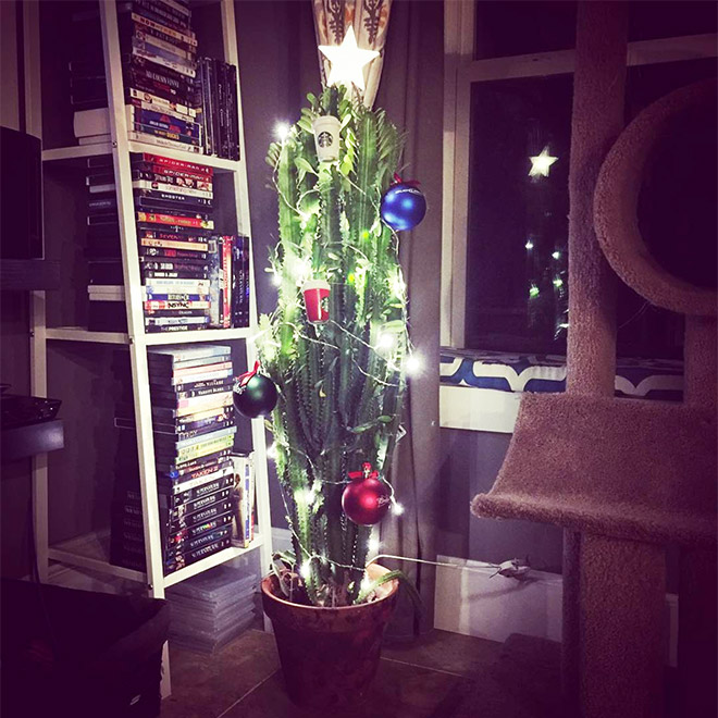 Genius People Who Found a Way To Protect Their Christmas Trees From Pets