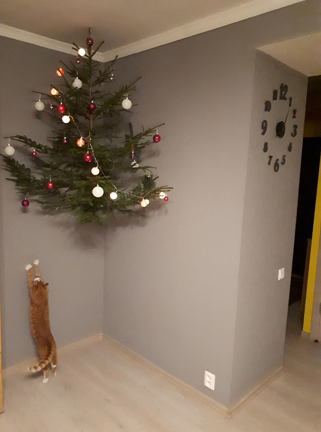 Genius People Who Found a Way To Protect Their Christmas Trees From Pets