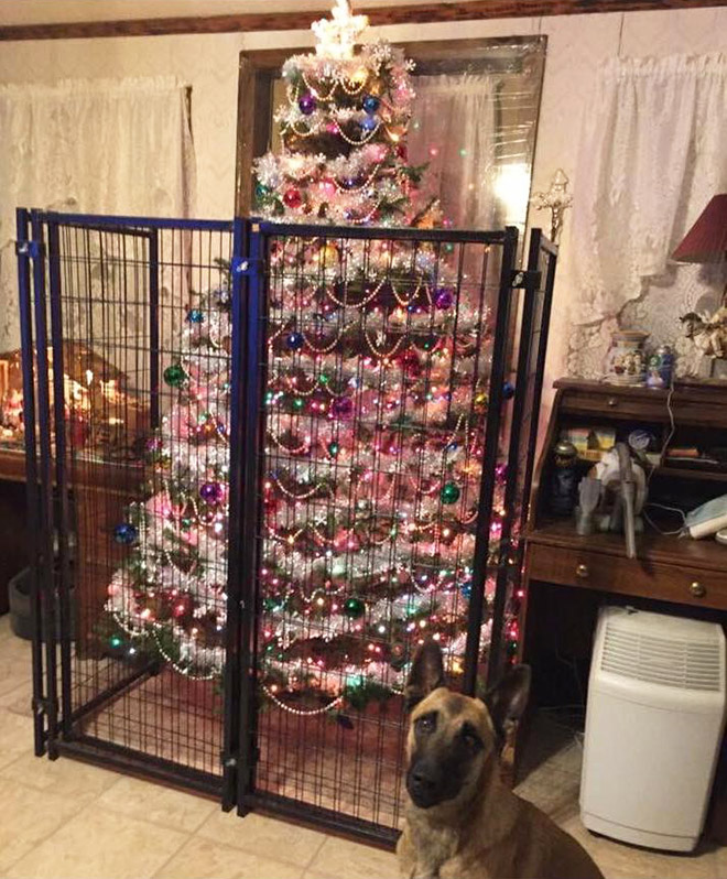 Genius People Who Found a Way To Protect Their Christmas Trees From Pets