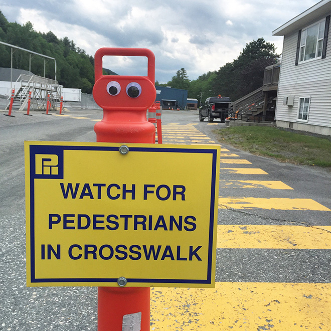Googly Eyes: Cheap Way To Get Cheap Laughs