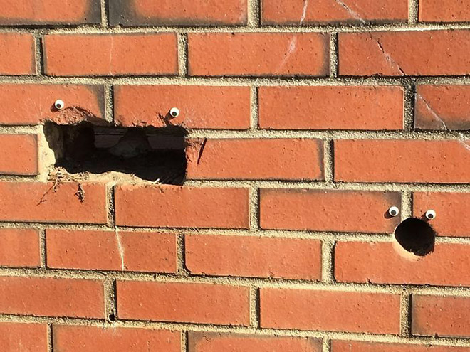 Googly Eyes: Cheap Way To Get Cheap Laughs