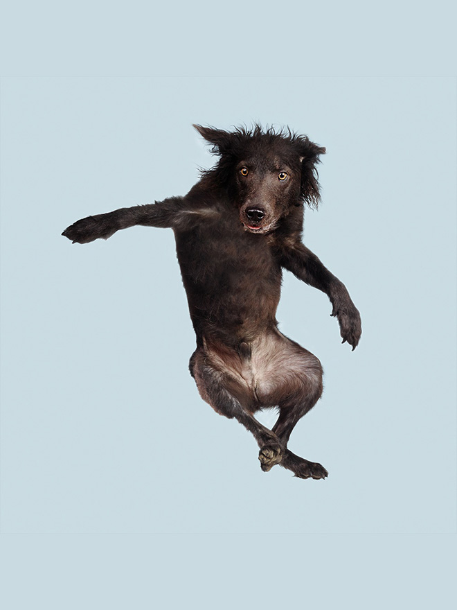 Guess Who Found The Trampoline?