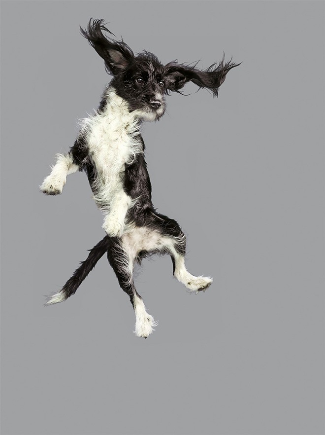 Guess Who Found The Trampoline?