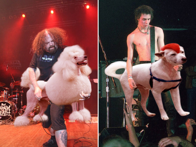 Guitars Replaced With Dogs