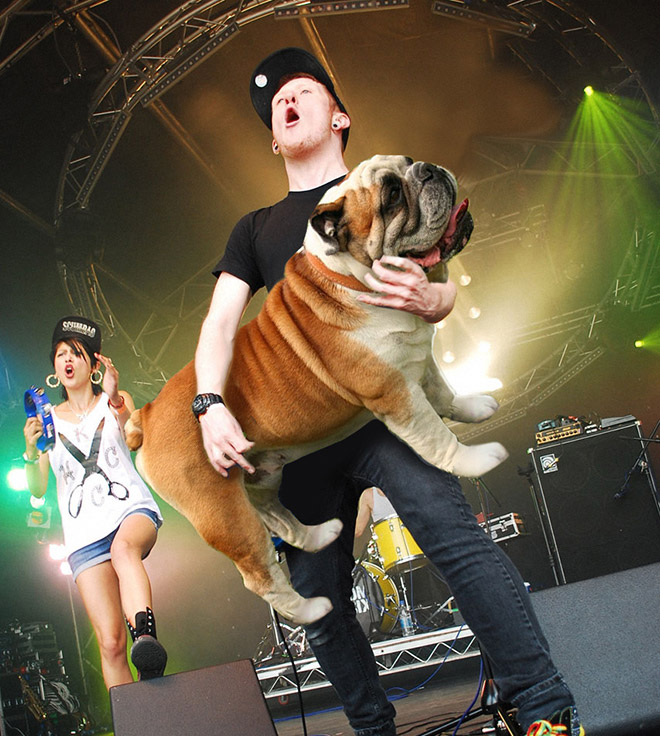 Guitars Replaced With Dogs