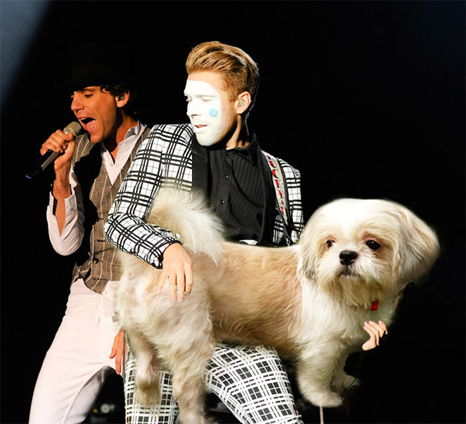 Guitars Replaced With Dogs