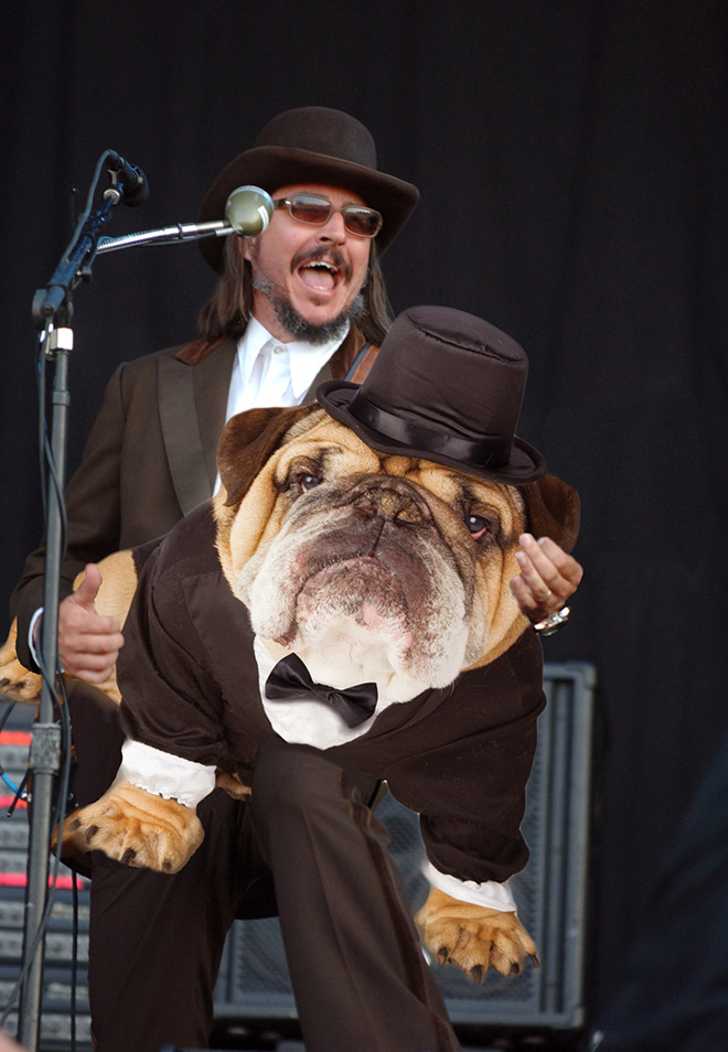 Guitars Replaced With Dogs