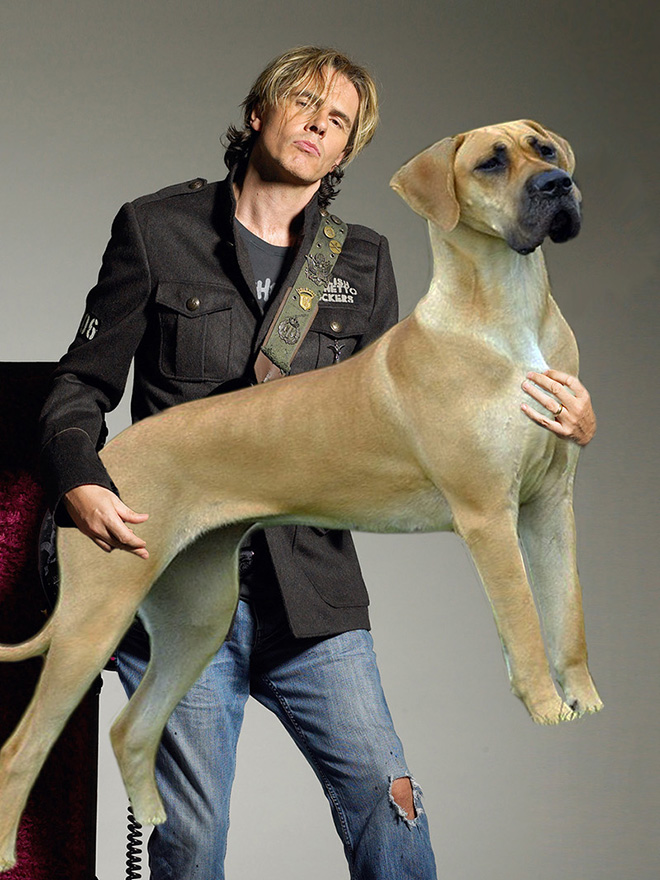 Guitars Replaced With Dogs