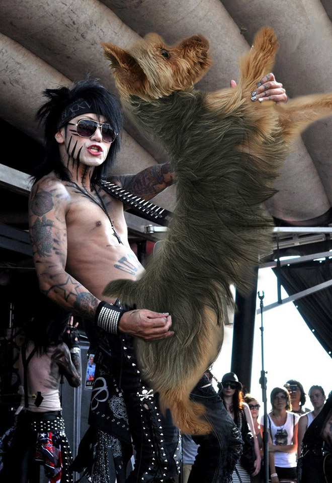 Guitars Replaced With Dogs