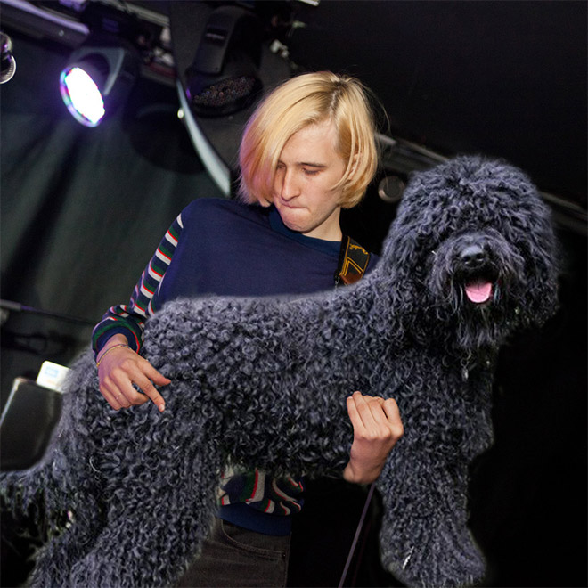 Guitars Replaced With Dogs