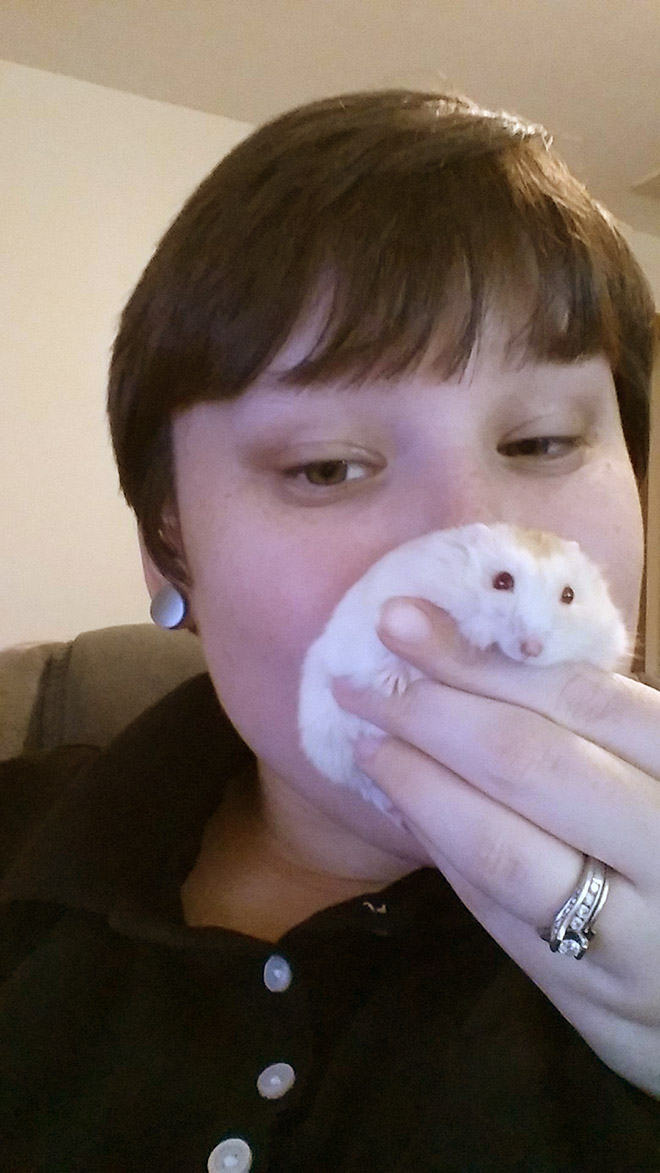 Hamster Pancakes