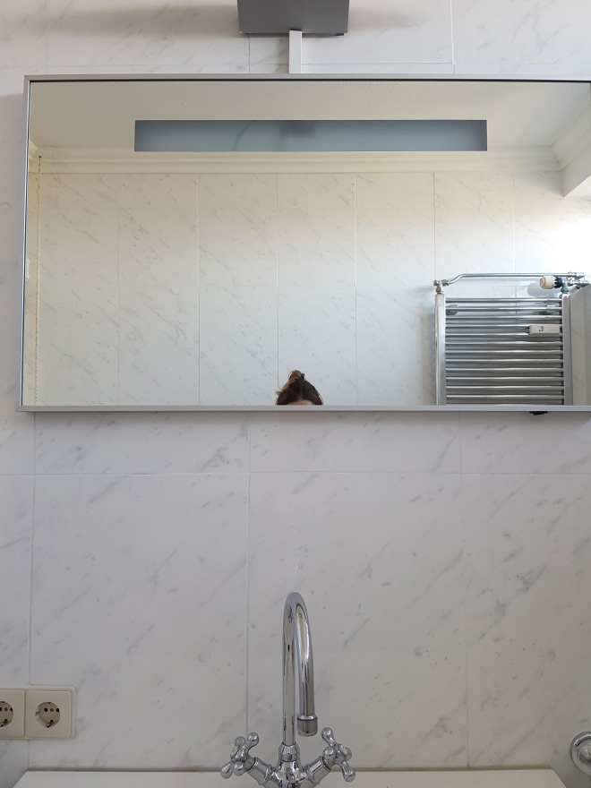 Hilarious Bathroom Mirror Design Fails
