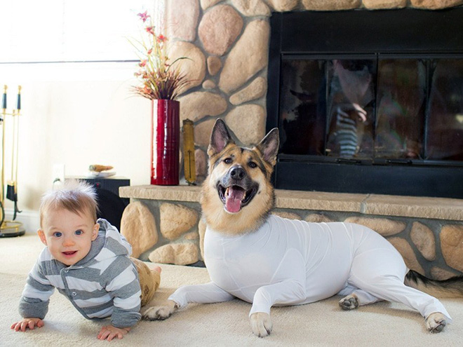 Hilariously Cute Dog Onesies That Protect From Shedding And Reduce Anxiety