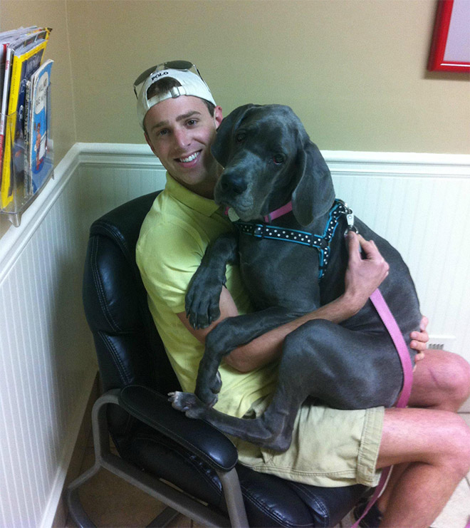 Hilariously Heartbreaking Photos of Dogs At The Vet