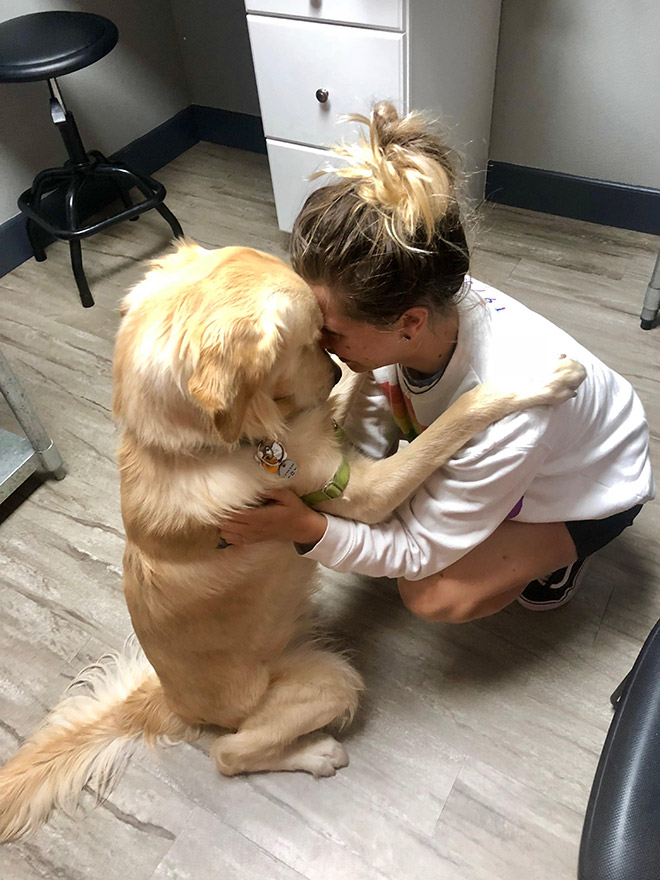 Hilariously Heartbreaking Photos of Dogs At The Vet