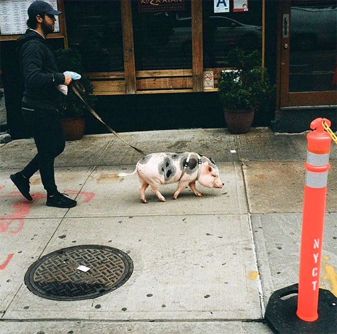 “Hipsters Of New York” Shows The Dangers Of Extreme Hipsterism