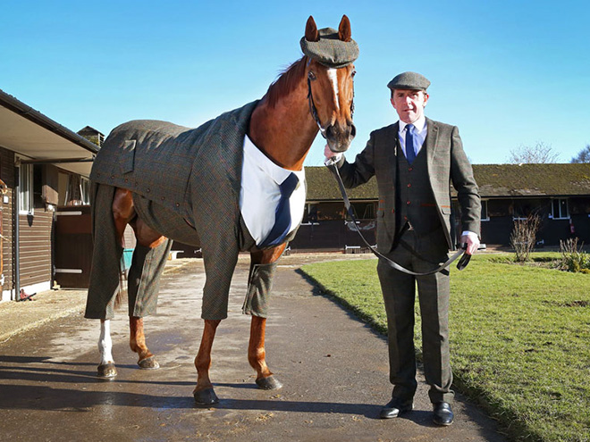 Horse Gets Tailored Three-Piece Suit, Looks Absolutely Dashing