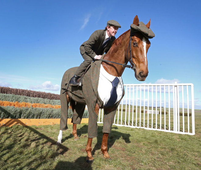 Horse Gets Tailored Three-Piece Suit, Looks Absolutely Dashing
