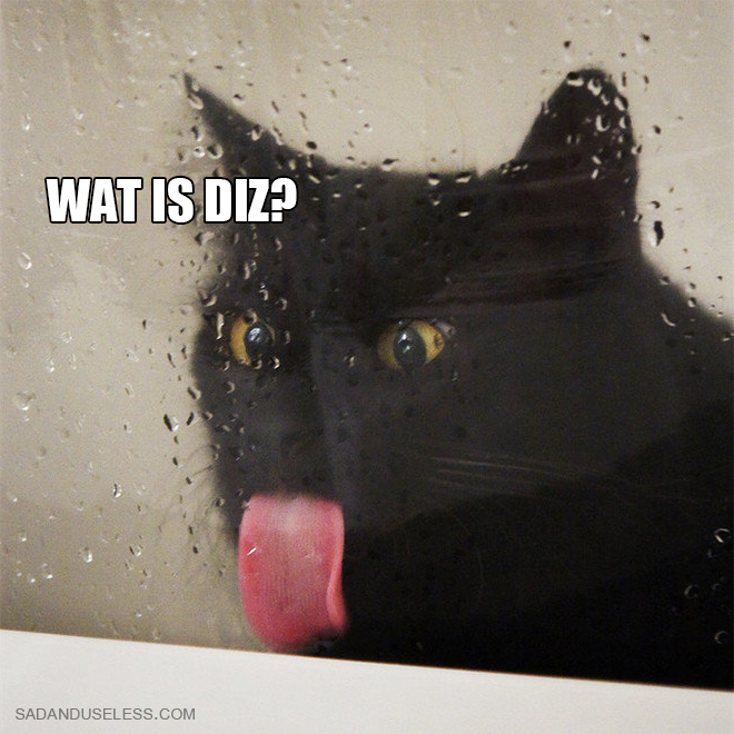If Cats Were Scientists Nothing Would Happen. Ever.