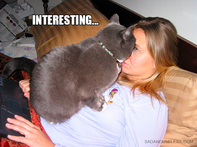 If Cats Were Scientists Nothing Would Happen. Ever.
