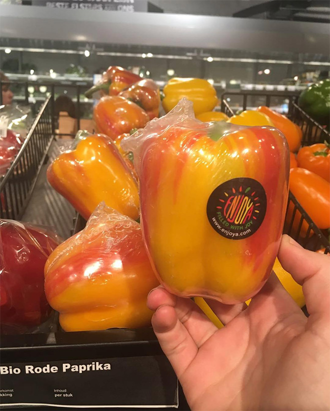 Instagram Account “Pointless Packaging” Is Both Hilarious And Infuriating