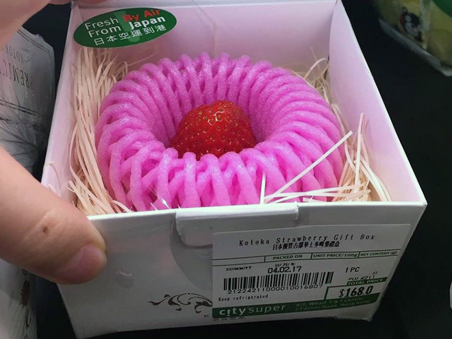 Instagram Account “Pointless Packaging” Is Both Hilarious And Infuriating