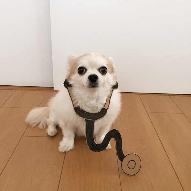 Japanese Woman Creates Hilarious $0 Cosplay Costumes For Her Dog