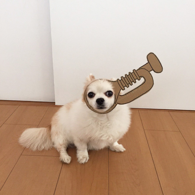 Japanese Woman Creates Hilarious $0 Cosplay Costumes For Her Dog