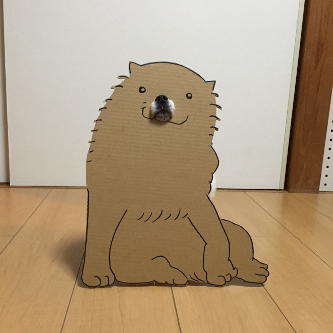 Japanese Woman Creates Hilarious $0 Cosplay Costumes For Her Dog