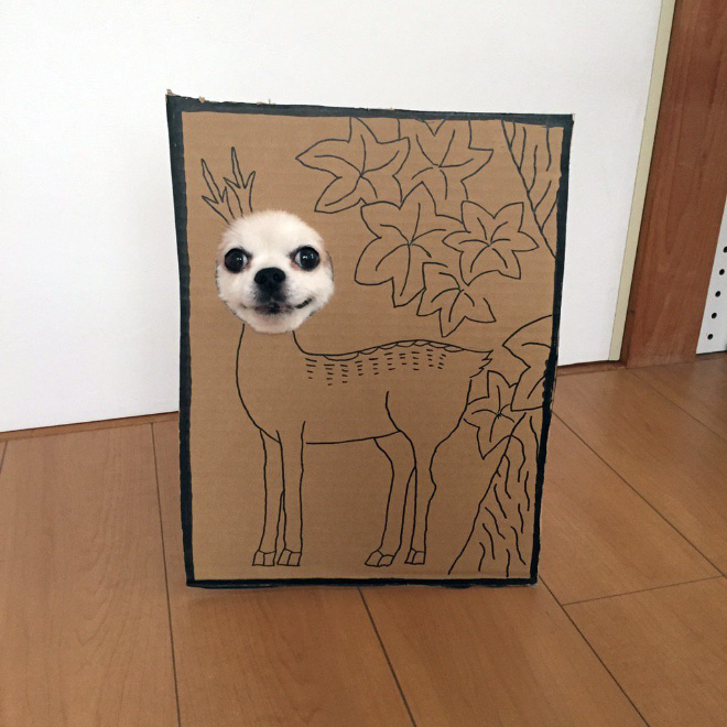 Japanese Woman Creates Hilarious $0 Cosplay Costumes For Her Dog