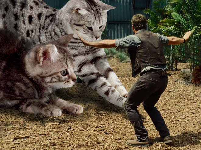 Jurassic Park Dinosaurs Replaced With Cats
