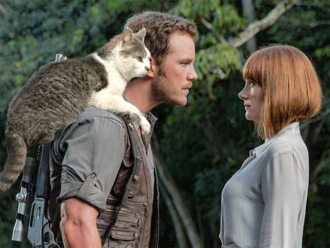 Jurassic Park Dinosaurs Replaced With Cats